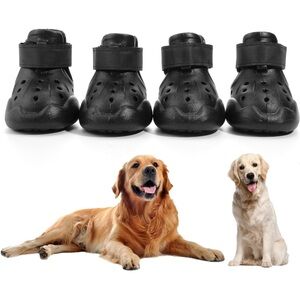 dog shoes